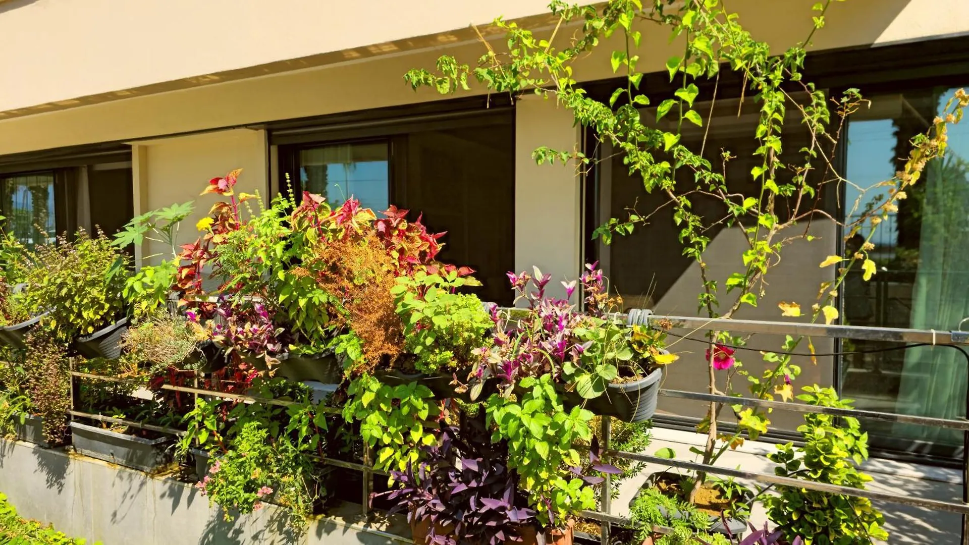 Elegant & Cozy Retreat Home, City Center Gem By The Seaside, Steps From The Tram Izmir 0*,  Turcja